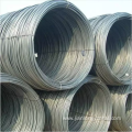 Hot Sale and Best Quality Galvanized Iron Wire